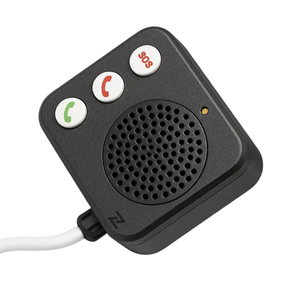 Voice Alert Box